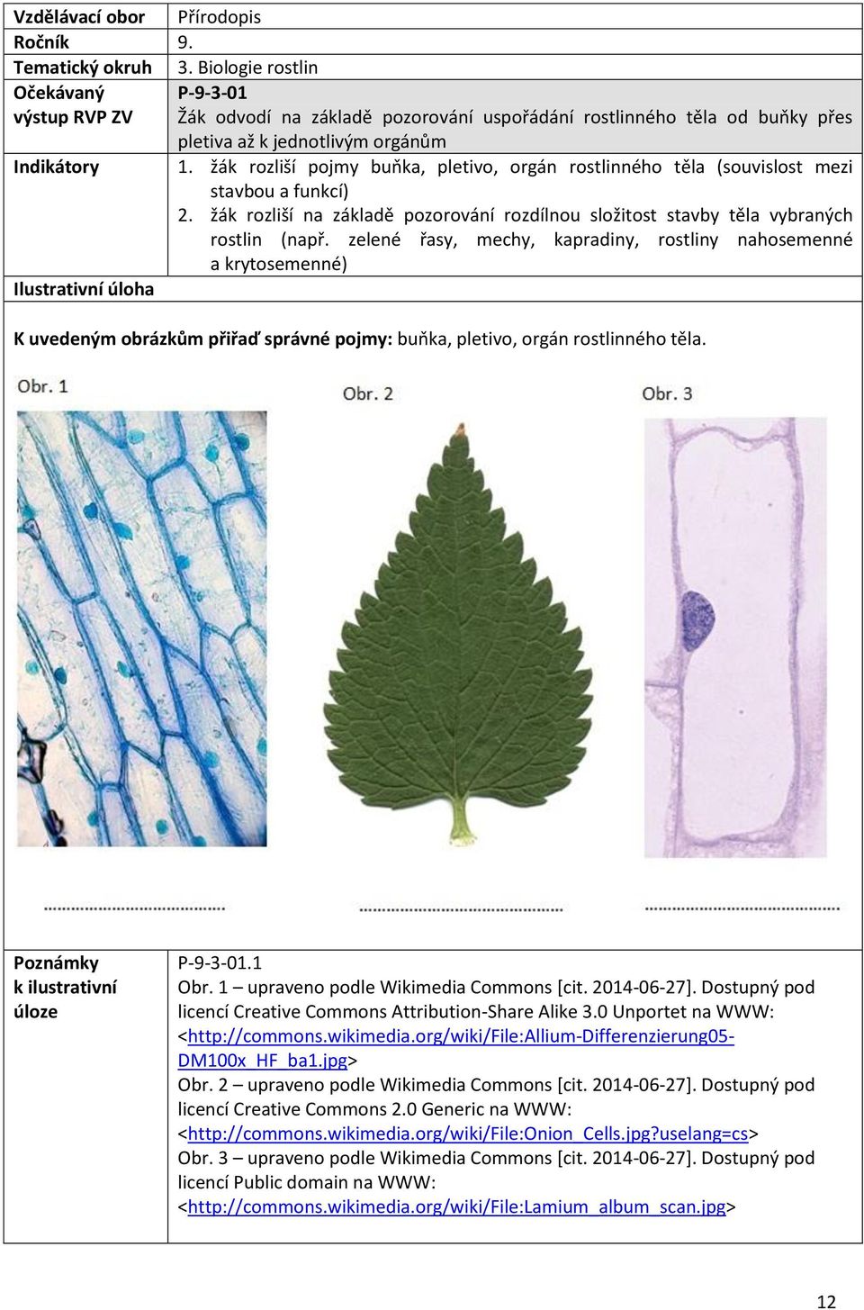 zelené řasy, mechy, kapradiny, rostliny nahosemenné a krytosemenné) K uvedeným obrázkům přiřaď správné pojmy: buňka, pletivo, orgán rostlinného těla. P-9-3-01.1 Obr.