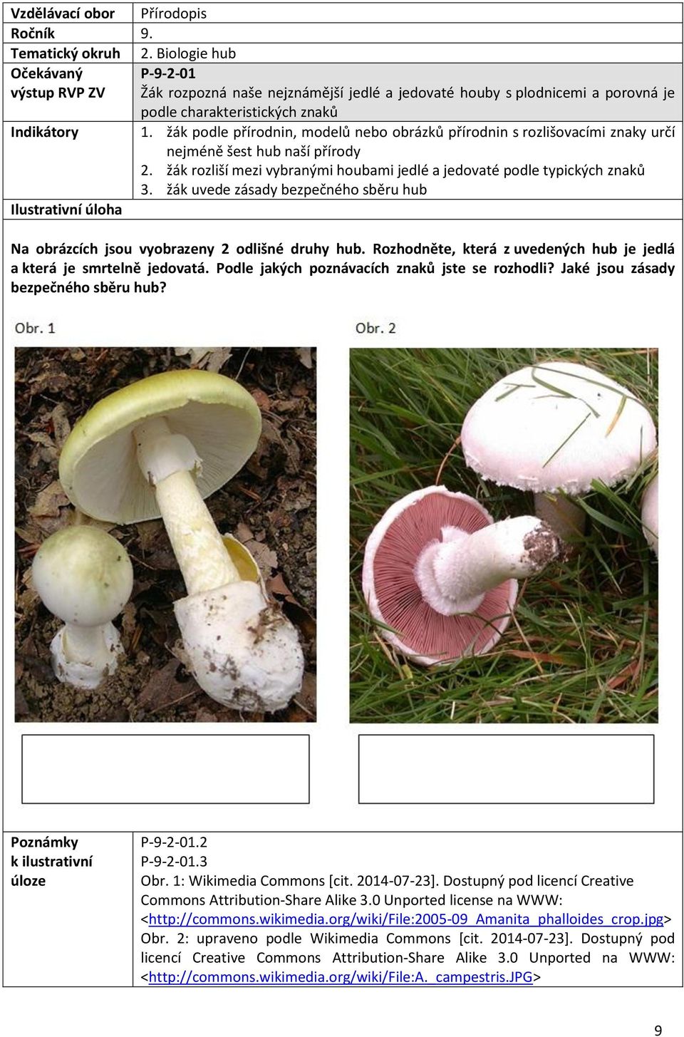 žák uvede zásady bezpečného sběru hub Na obrázcích jsou vyobrazeny 2 odlišné druhy hub. Rozhodněte, která z uvedených hub je jedlá a která je smrtelně jedovatá.