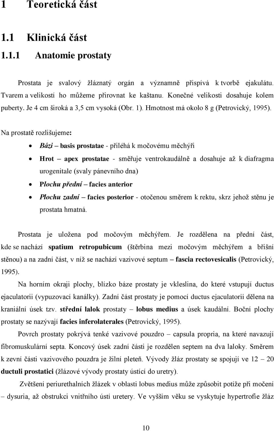 Na prostatě rozlišujeme: Bázi basis prostatae - přiléhá k močovému měchýři Hrot apex prostatae - směřuje ventrokaudálně a dosahuje až k diafragma urogenitale (svaly pánevního dna) Plochu přední