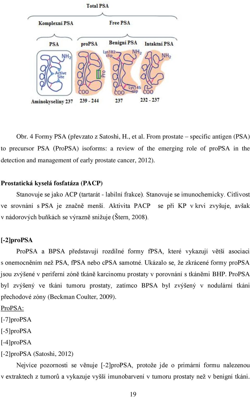 Prostatická kyselá fosfatáza (PACP) Stanovuje se jako ACP (tartarát - labilní frakce). Stanovuje se imunochemicky. Citlivost ve srovnání s PSA je značně menší.