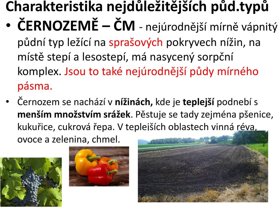 stepí a lesostepí, má nasycený sorpční komplex. Jsou to také nejúrodnější půdy mírného pásma.