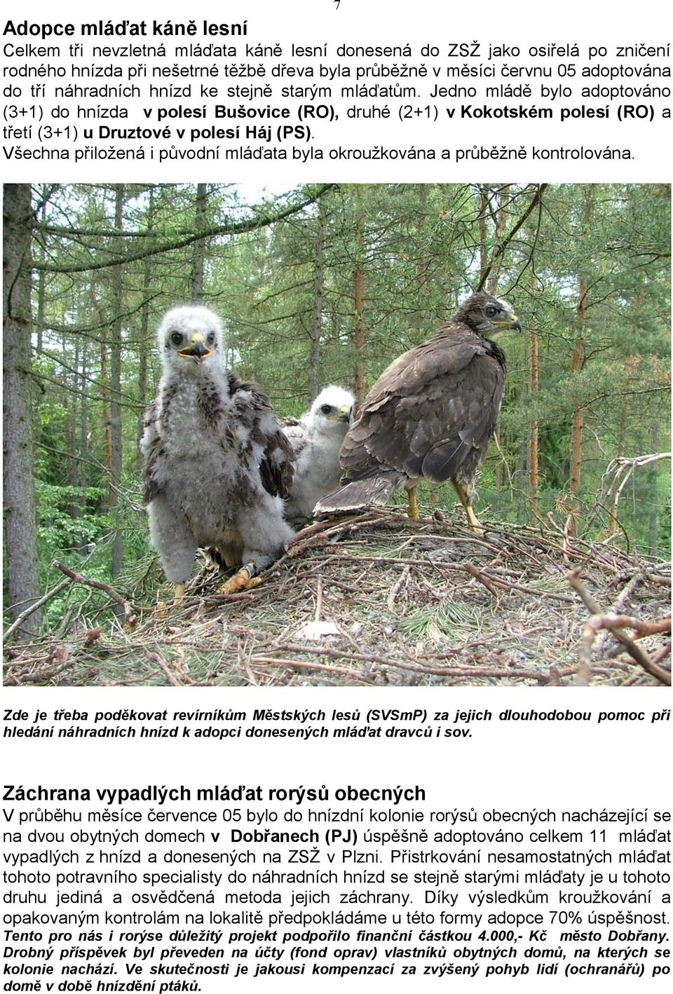 Všechna přiložená i původní mláďata byla okroužkována a průběžně kontrolována.