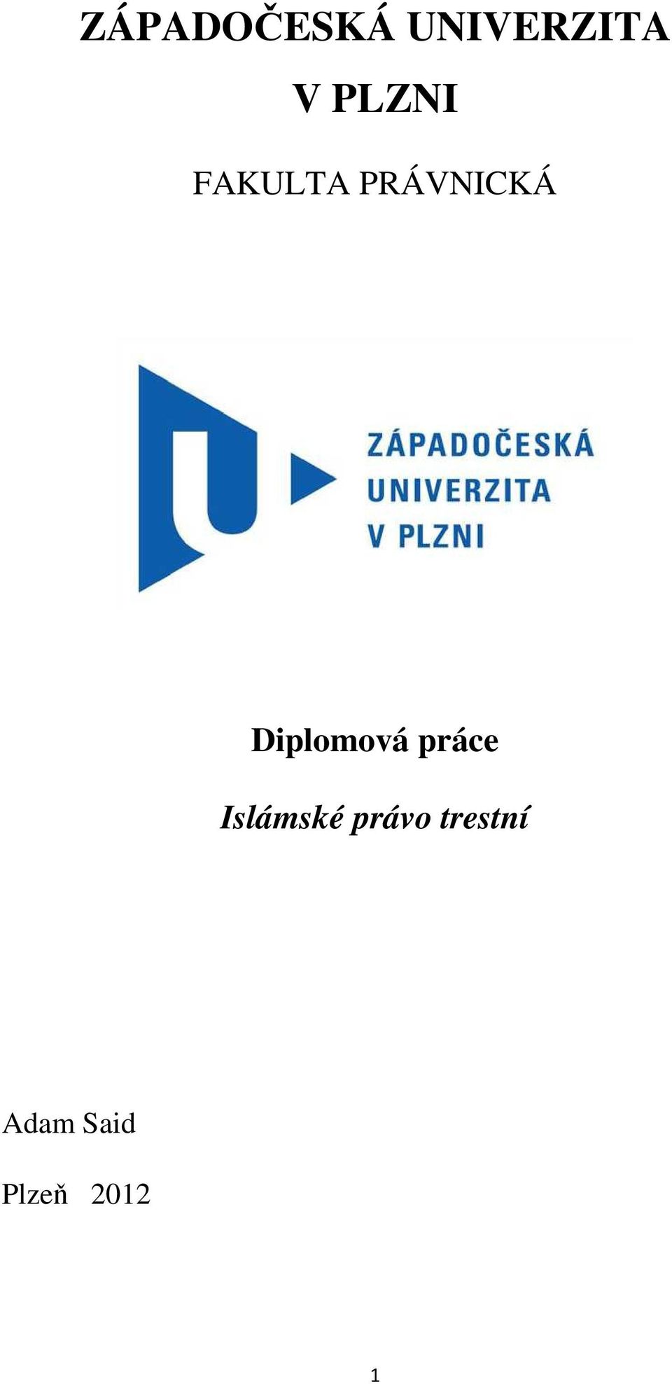 Diplomová práce Islámské