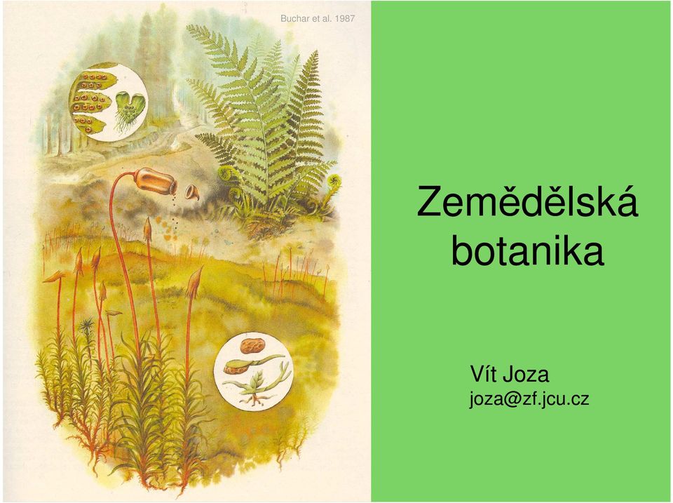 botanika Vít Joza