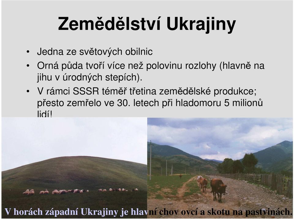 V rámci SSSR téměř třetina zemědělské produkce; přesto zemřelo ve 30.