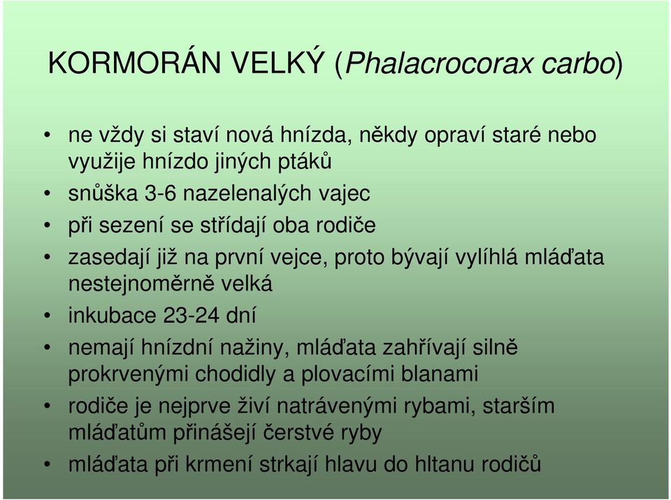 nestejnoměrně velká inkubace 23-24 dní nemají hnízdní nažiny, mláďata zahřívají silně prokrvenými chodidly a plovacími