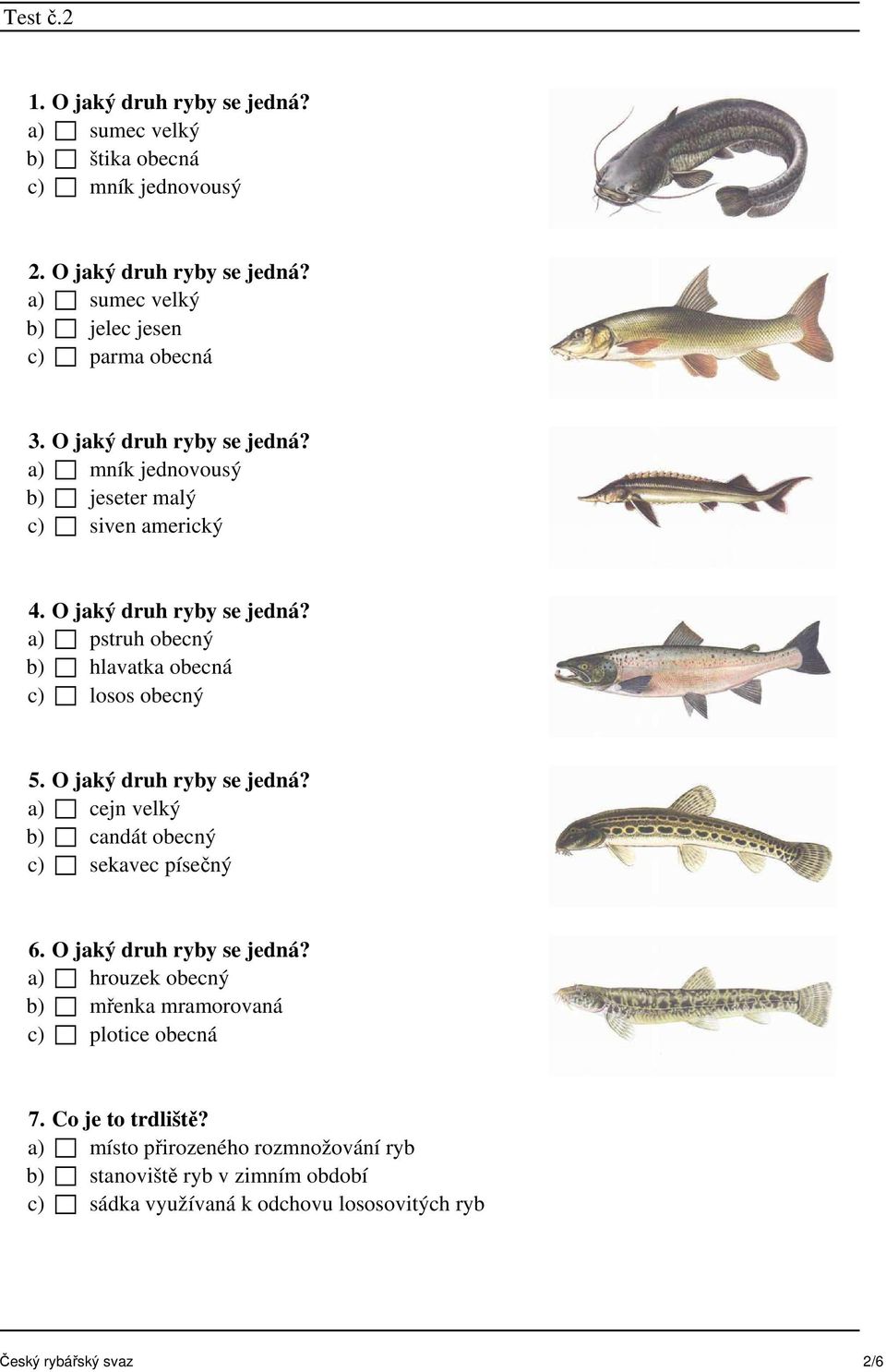 a) pstruh obecný b) hlavatka obecná c) losos obecný 5. O jaký druh ryby se jedná? a) cejn velký b) candát obecný c) sekavec písečný 6. O jaký druh ryby se jedná? a) hrouzek obecný b) mřenka mramorovaná c) plotice obecná 7.