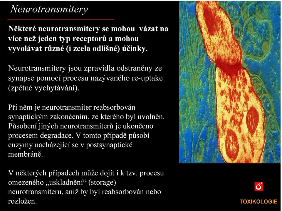 Při něm je neurotransmiter reabsorbován synaptickým zakončením, ze kterého byl uvolněn. Působení jiných neurotransmiterů je ukončeno procesem degradace.