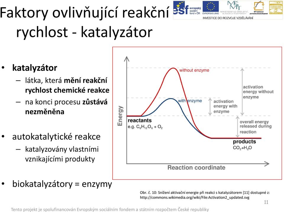 vznikajícími produkty biokatalyzátory = enzymy Obr. č.