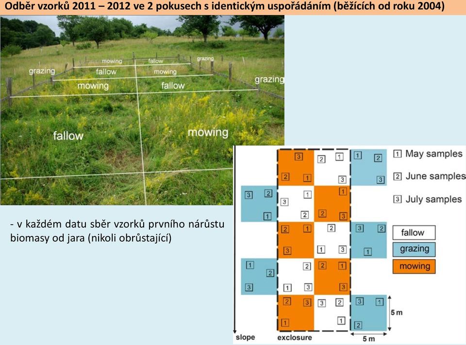 2004) - v každém datu sběr vzorků prvního