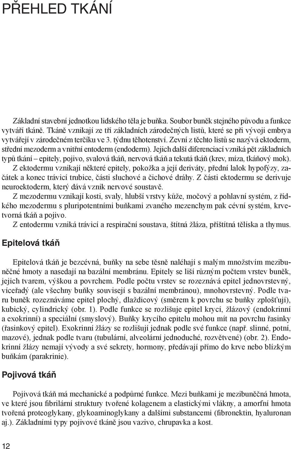 Zevní z těchto listů se nazývá ektoderm, střední mezoderm a vnitřní entoderm (endoderm).