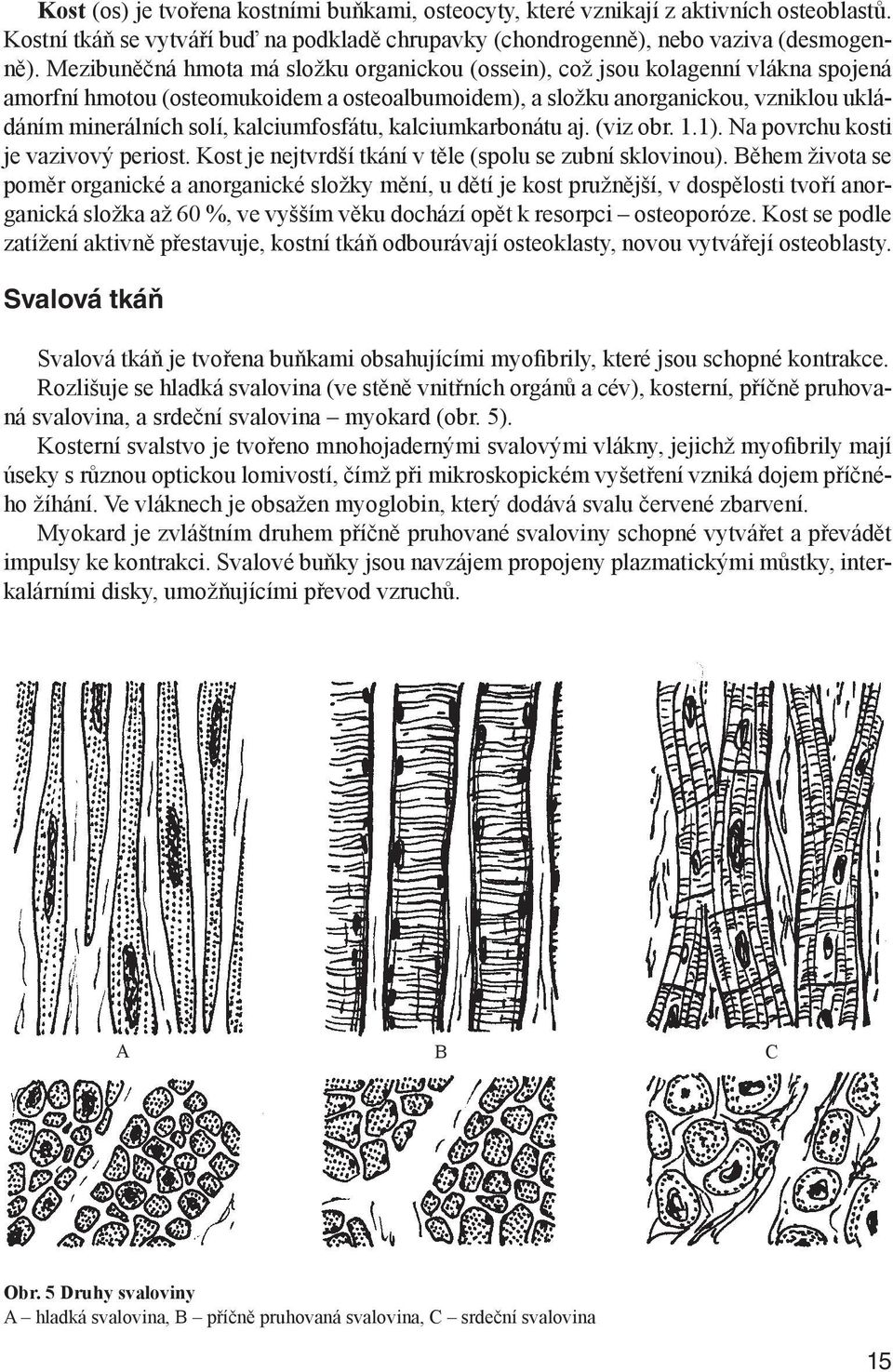 kalciumfosfátu, kalciumkarbonátu aj. (viz obr. 1.1). Na povrchu kosti je vazivový periost. Kost je nejtvrdší tkání v těle (spolu se zubní sklovinou).