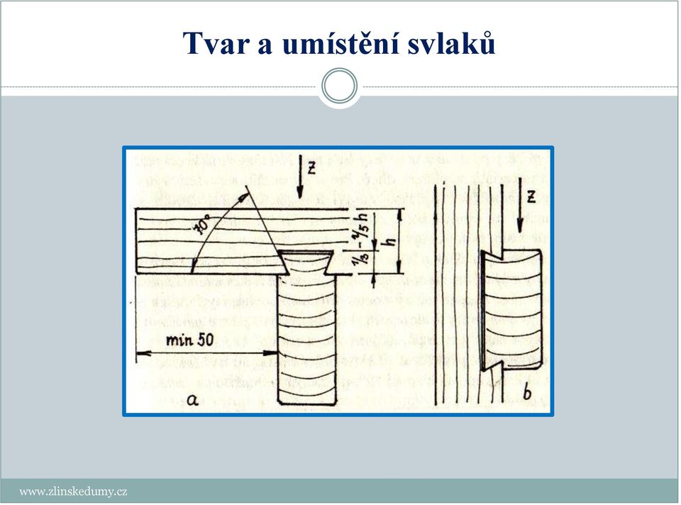 svlaků