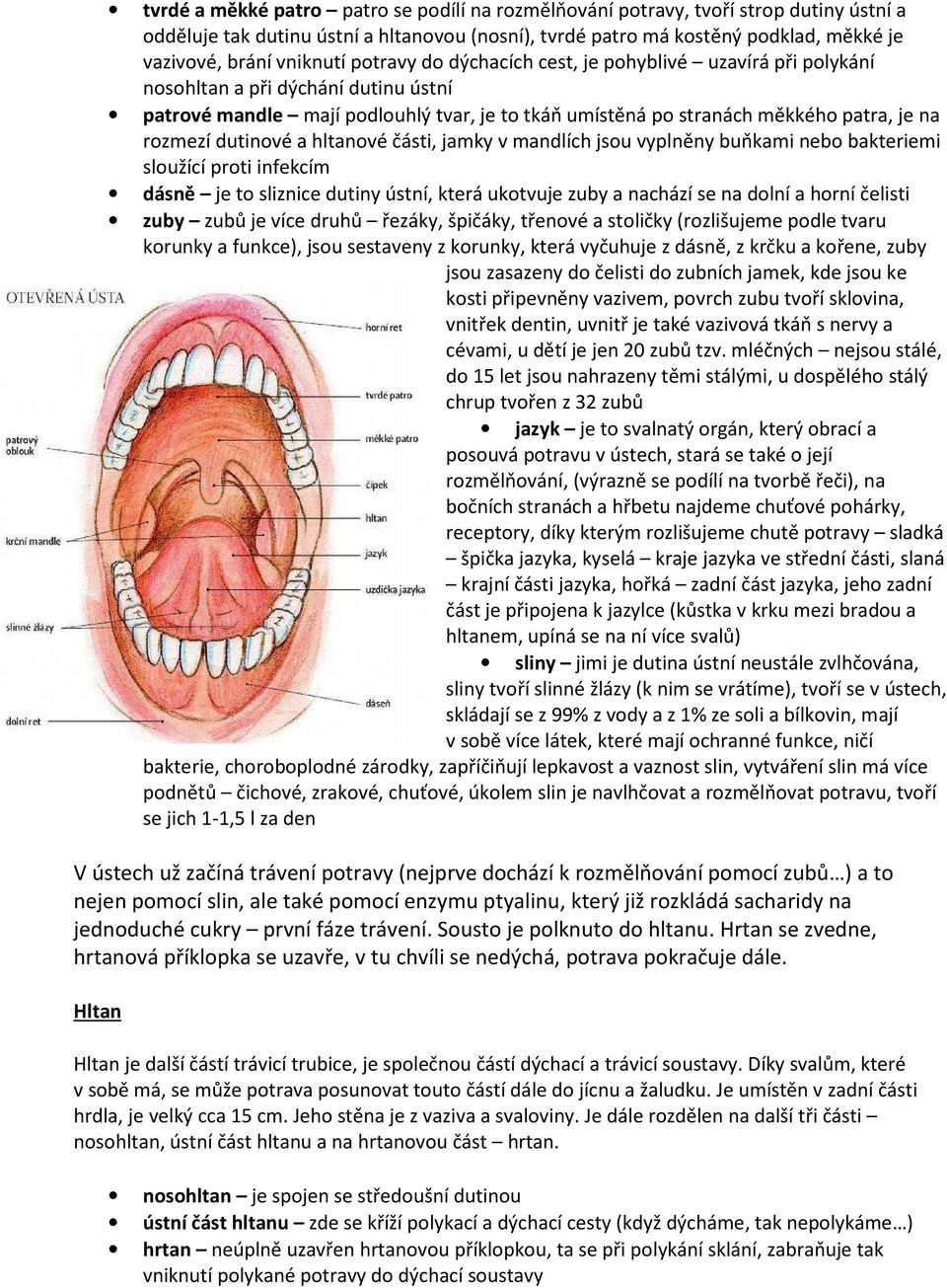 rozmezí dutinové a hltanové části, jamky v mandlích jsou vyplněny buňkami nebo bakteriemi sloužící proti infekcím dásně je to sliznice dutiny ústní, která ukotvuje zuby a nachází se na dolní a horní