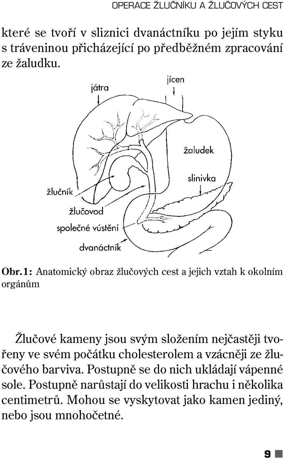 1: Anatomický obraz žlučových cest a jejich vztah k okolním orgánům Žlučové kameny jsou svým složením nejčastěji tvořeny ve