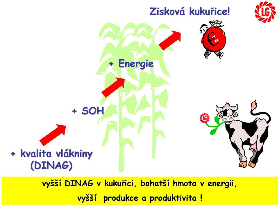 (DINAG) vyšší DINAG v kukuřici ici,