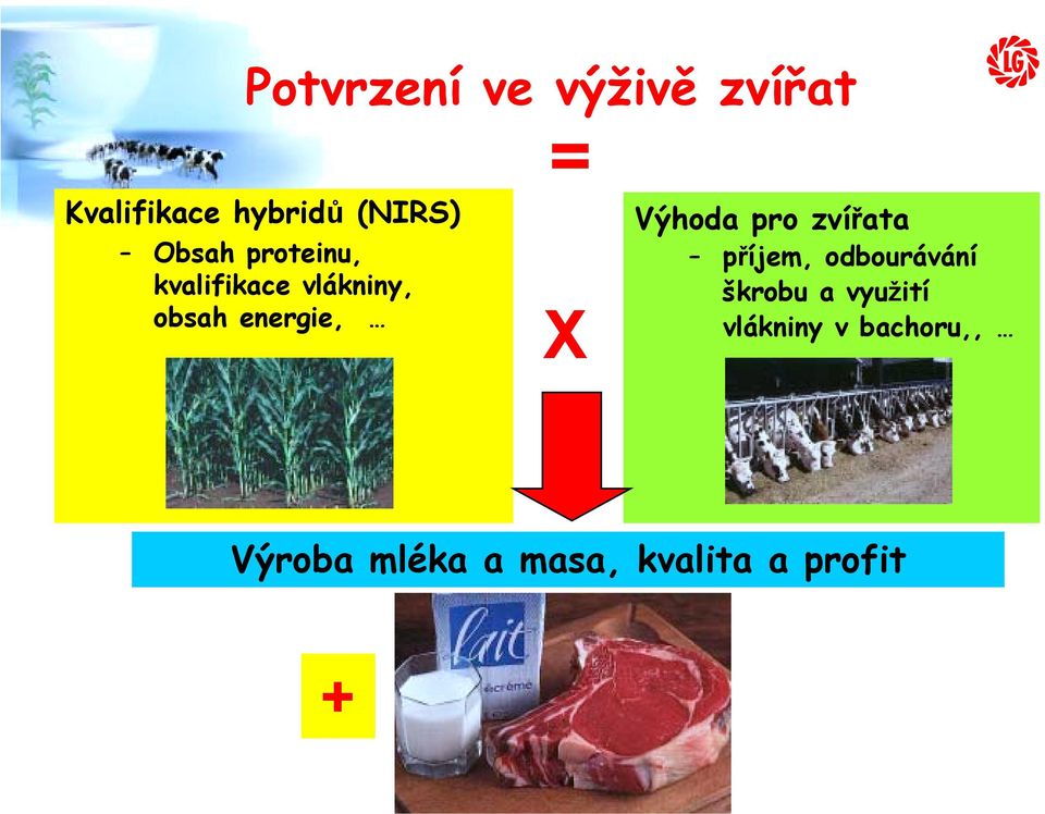 Výhoda pro zvířata příjem, odbourávání škrobu a využití