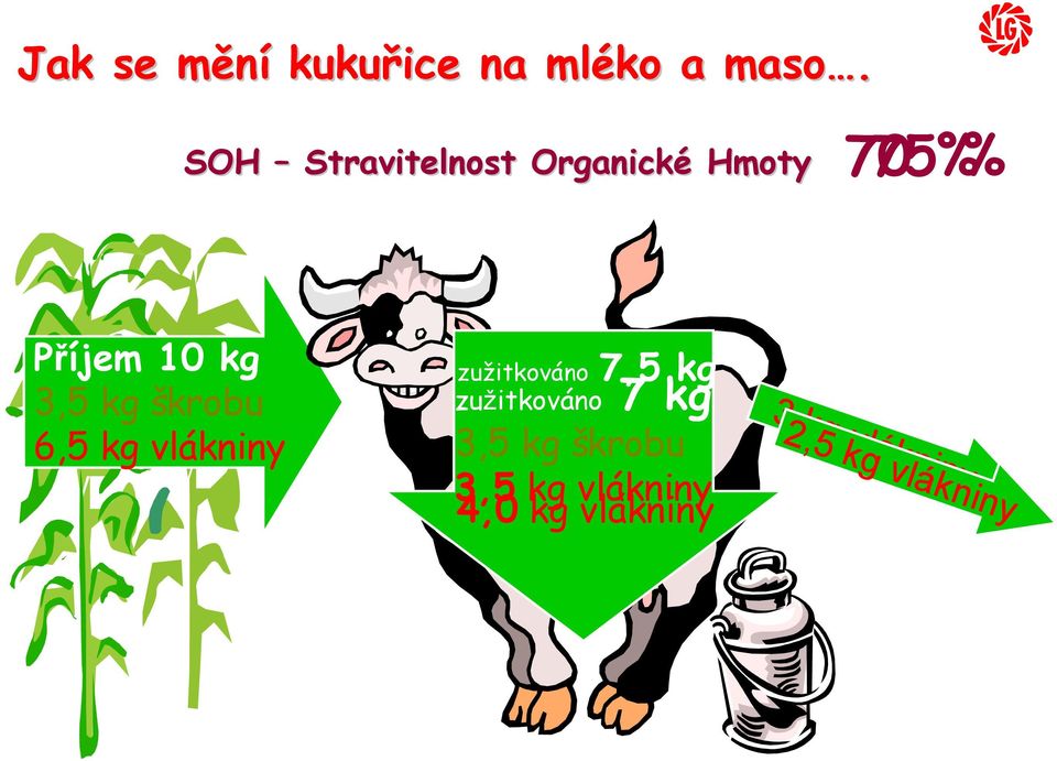 kg škrobu 6,5 kg vlákniny zužitkováno 7,5 kg zužitkováno 7