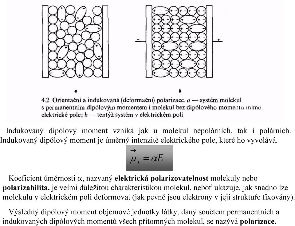 µ i = αe Koeficient úměrnosti α, nazvaný elektrická polarizovatelnost molekuly nebo polarizabilita, je velmi důležitou charakteristikou molekul,