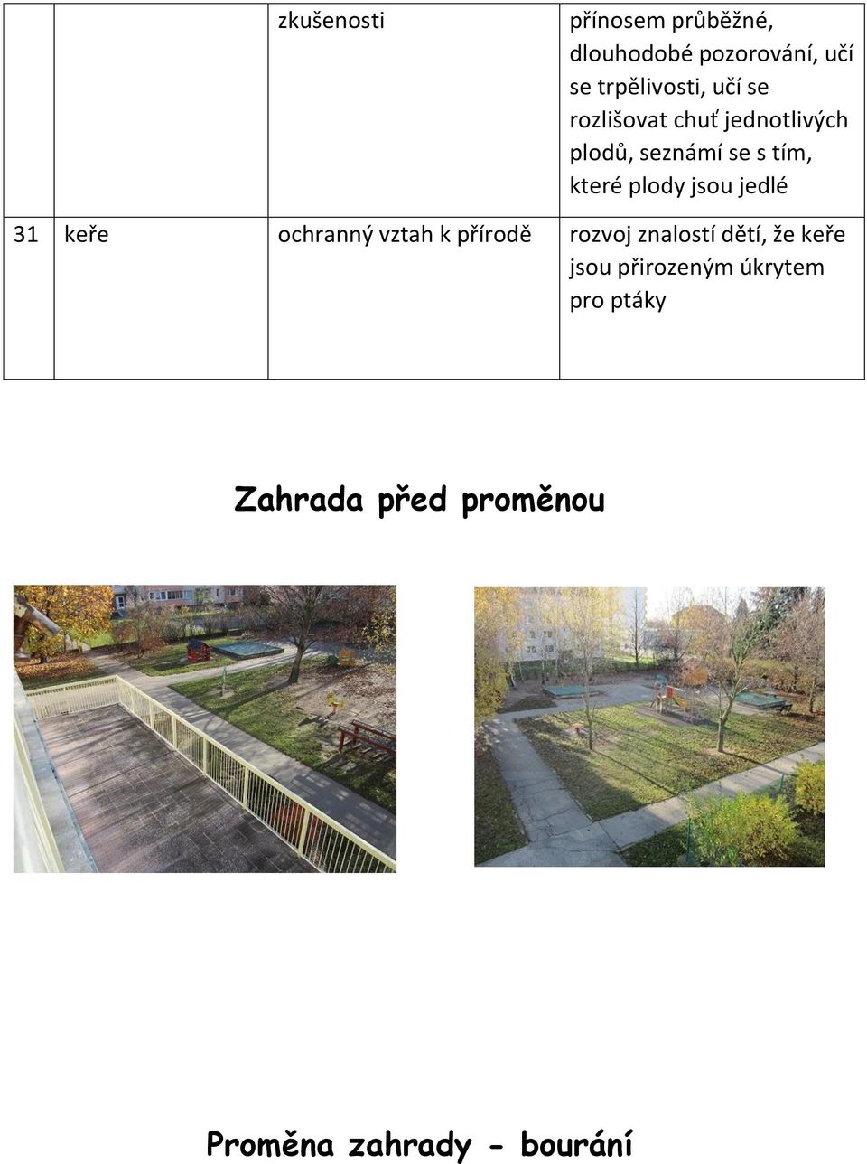 tím, které plody jsou jedlé 31 keře ochranný vztah k přírodě že keře