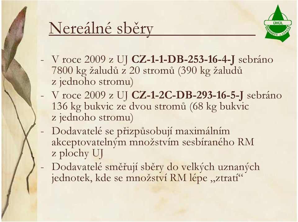 (68 kg bukvic z jednoho stromu) - Dodavatelé se přizpůsobují maximálním akceptovatelným množstvím