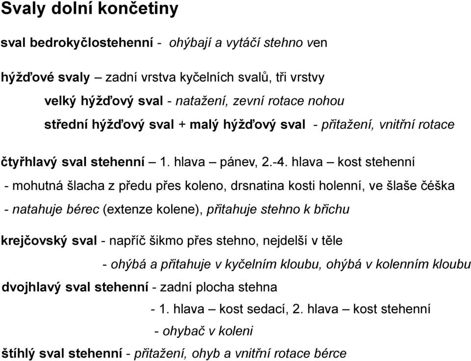 hlava kost stehenní - mohutná šlacha z předu přes koleno, drsnatina kosti holenní, ve šlaše čéška - natahuje bérec (extenze kolene), přitahuje stehno k břichu krejčovský sval - napříč