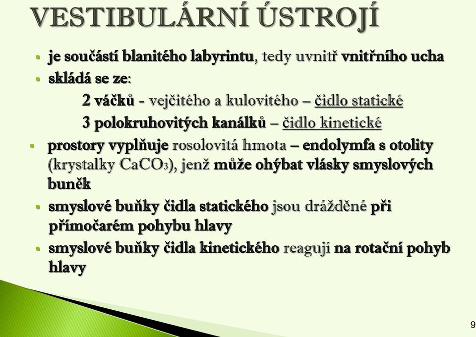 endolymfa s otolity (krystalky CaCO3), jenž může ohýbat vlásky smyslových buněk smyslové buňky čidla