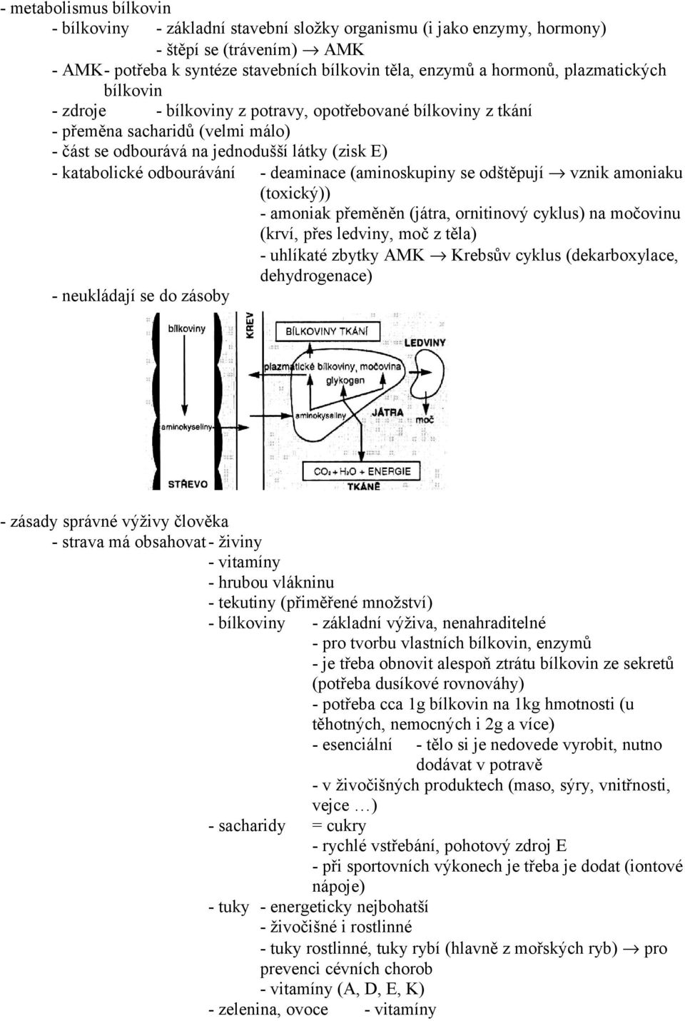 deaminace (aminoskupiny se odštěpují vznik amoniaku (toxický)) - amoniak přeměněn (játra, ornitinový cyklus) na močovinu (krví, přes ledviny, moč z těla) - uhlíkaté zbytky AMK Krebsův cyklus