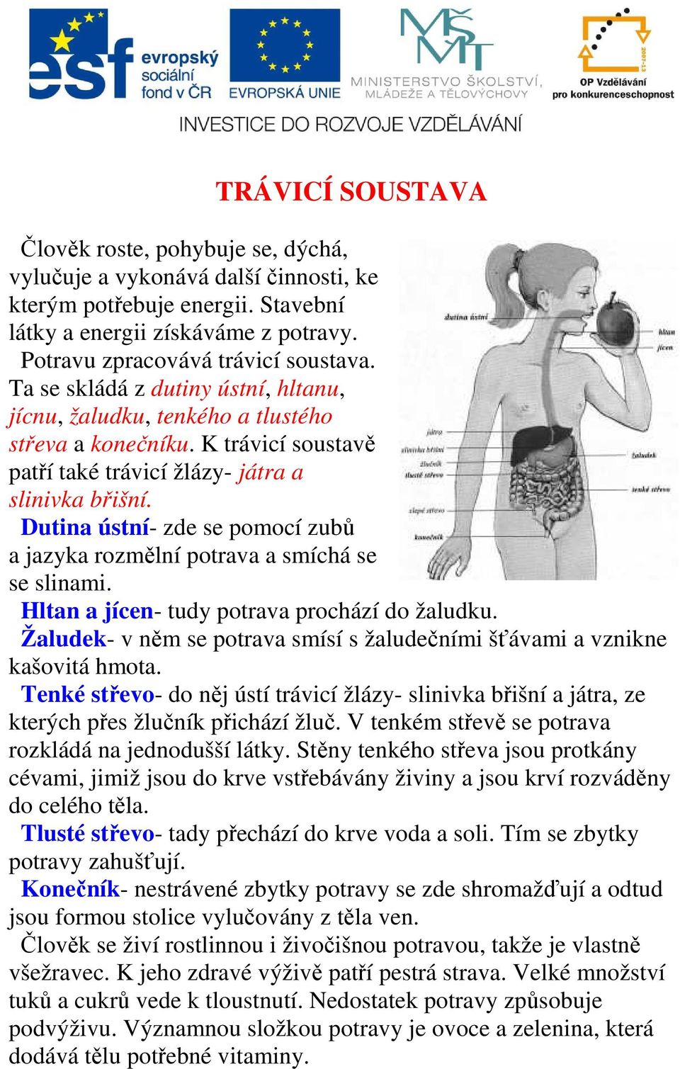 Dutina ústní- zde se pomocí zubů a jazyka rozmělní potrava a smíchá se se slinami. Hltan a jícen- tudy potrava prochází do žaludku.