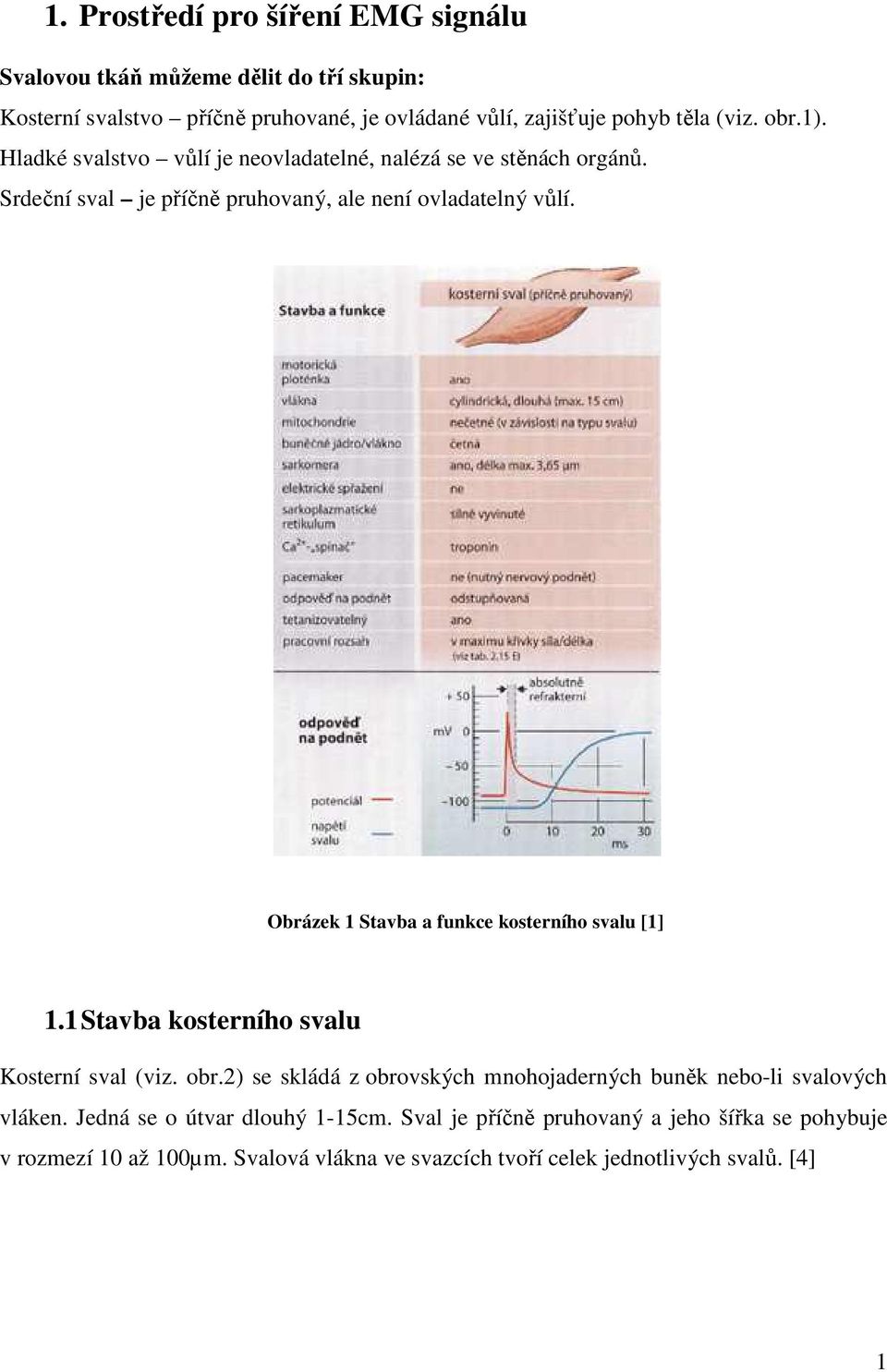 Obrázek 1 Stavba a funkce kosterního svalu [1] 1.1 Stavba kosterního svalu Kosterní sval (viz. obr.