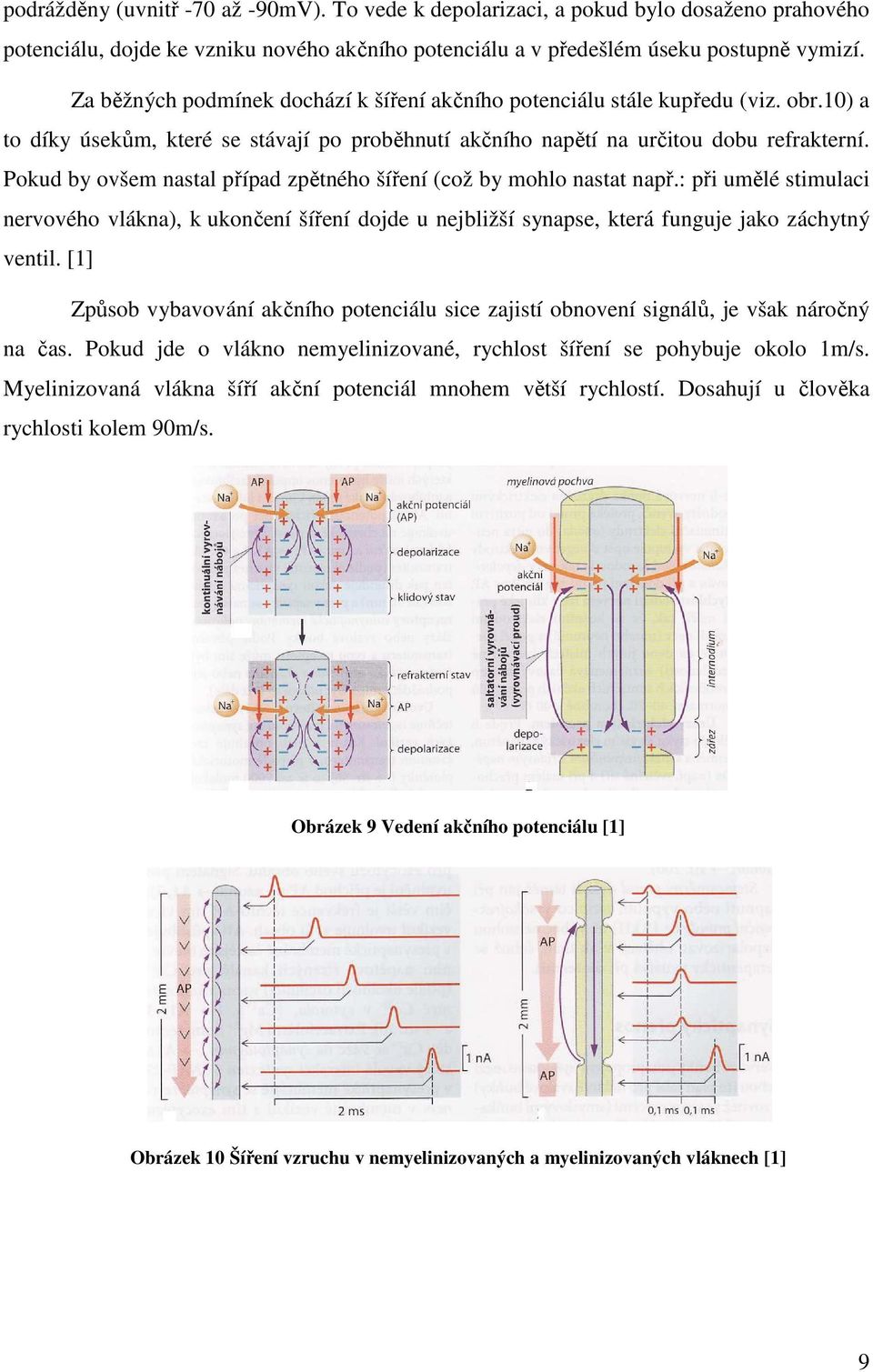 Pokud by ovšem nastal případ zpětného šíření (což by mohlo nastat např.: při umělé stimulaci nervového vlákna), k ukončení šíření dojde u nejbližší synapse, která funguje jako záchytný ventil.