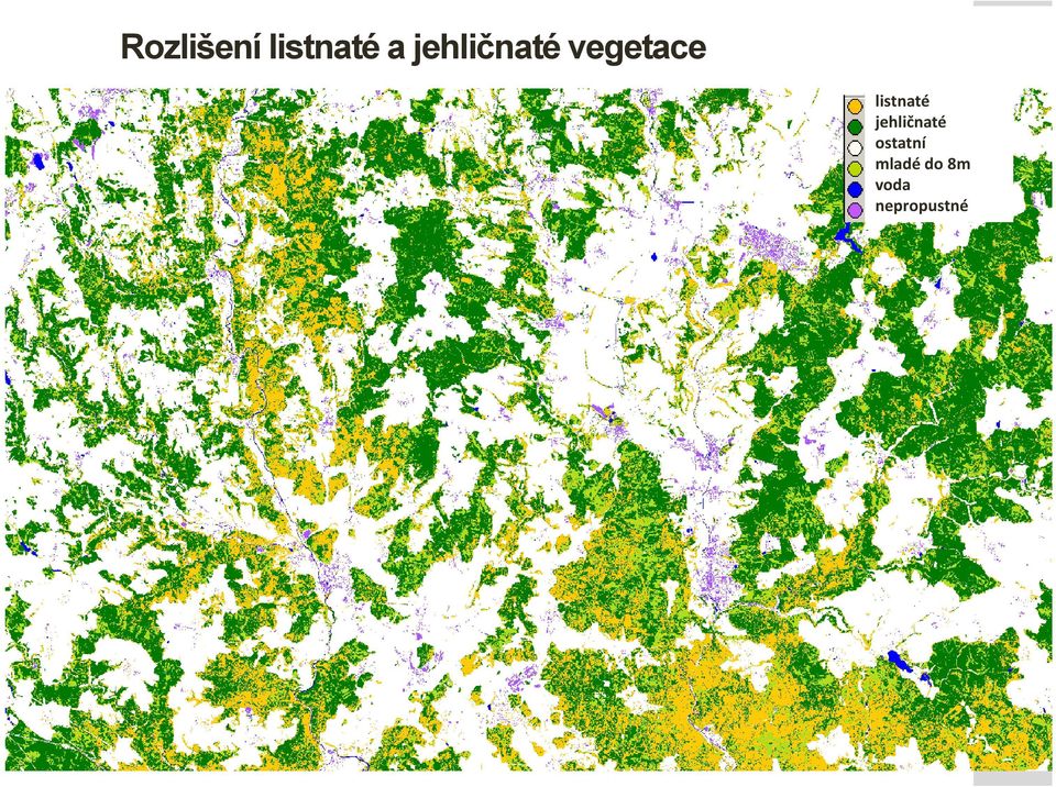 úpravu lesů Brandýs nad Labem