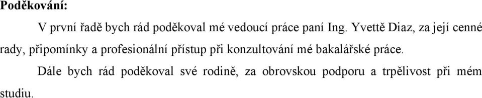přístup při konzultování mé bakalářské práce.