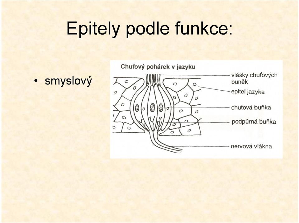 podle