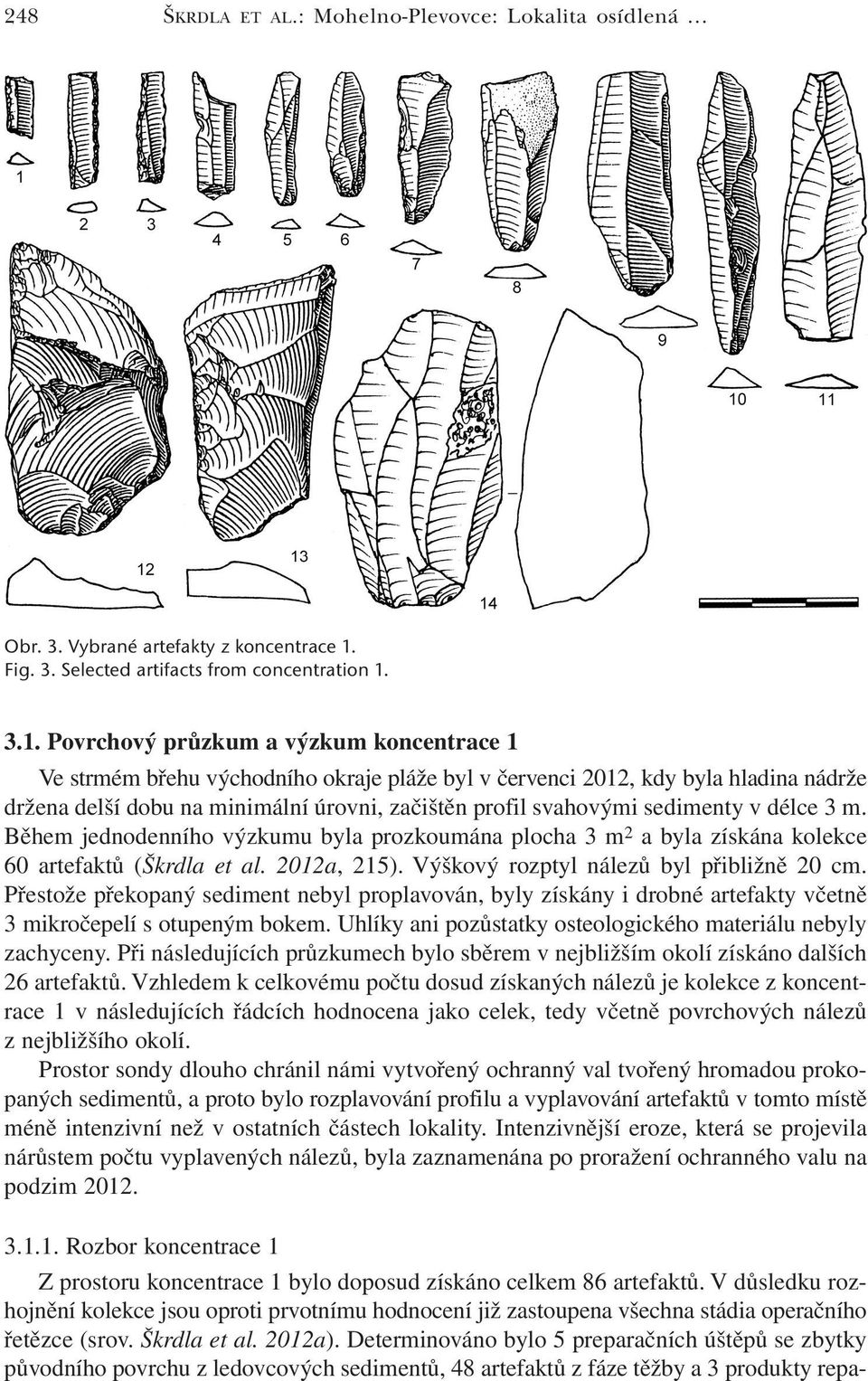 3.1. Povrchový průzkum a výzkum koncentrace 1 Ve strmém břehu východního okraje pláže byl v červenci 2012, kdy byla hladina nádrže držena delší dobu na minimální úrovni, začištěn profil svahovými