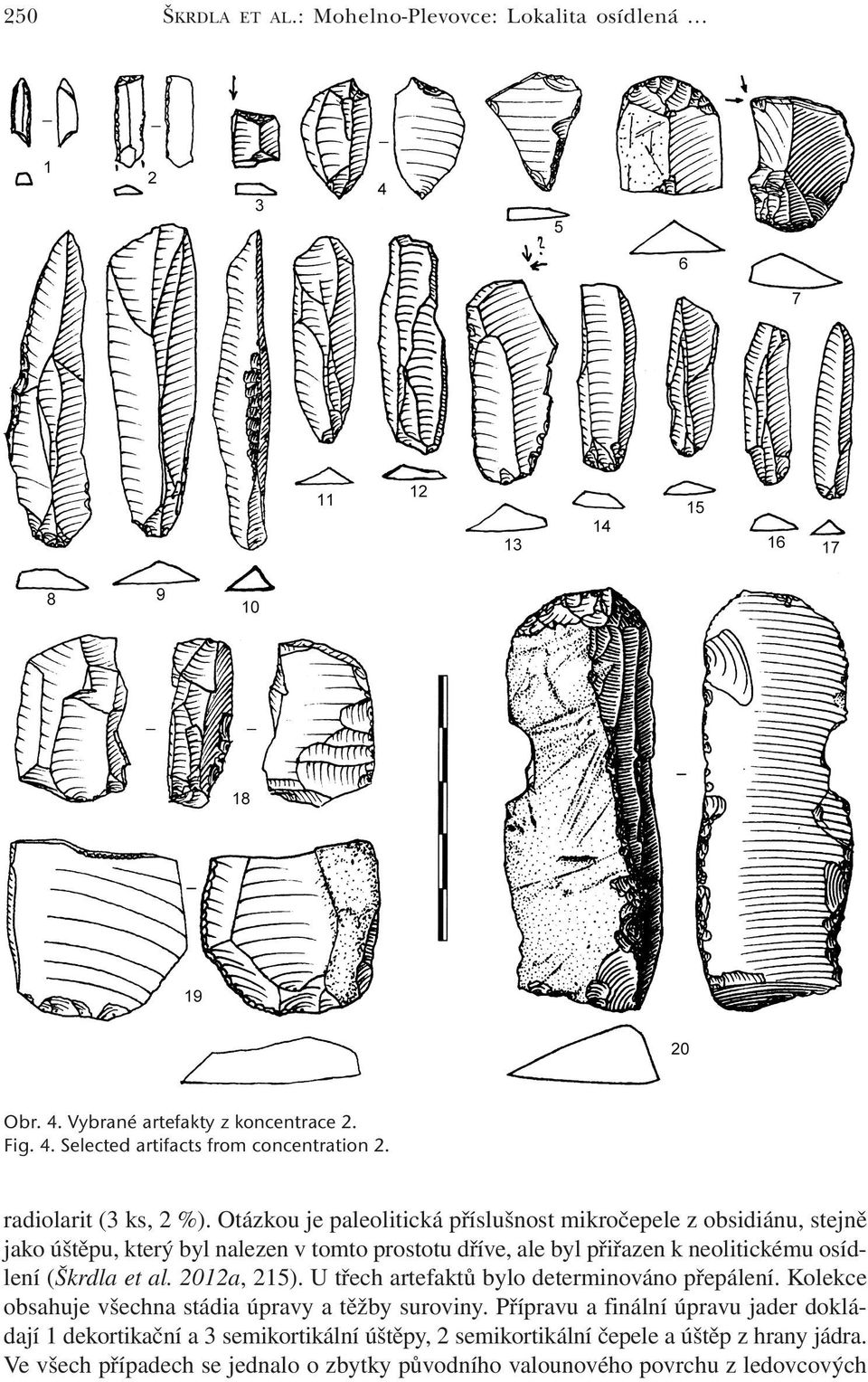 (Škrdla et al. 2012a, 215). U třech artefaktů bylo determinováno přepálení. Kolekce obsahuje všechna stádia úpravy a těžby suroviny.