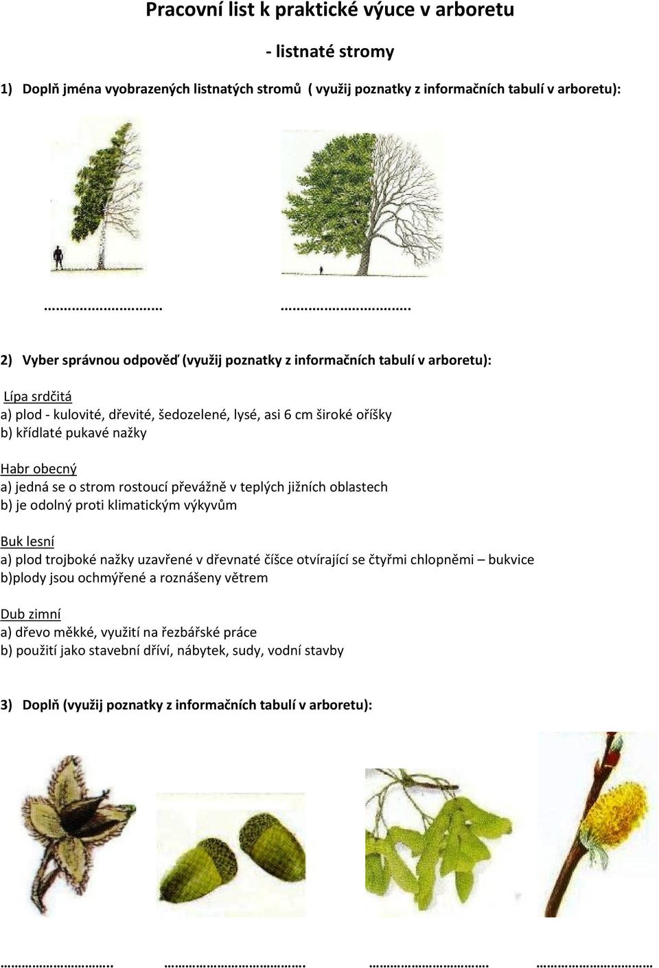 obecný a) jedná se o strom rostoucí převážně v teplých jižních oblastech b) je odolný proti klimatickým výkyvům Buk lesní a) plod trojboké nažky uzavřené v dřevnaté číšce otvírající se čtyřmi