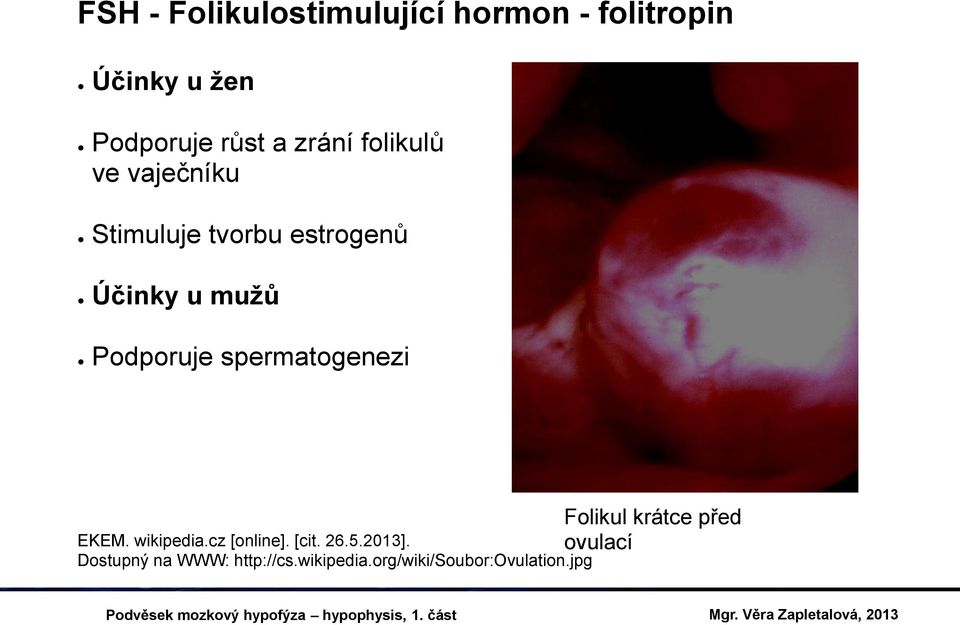 Podporuje spermatogenezi EKEM. wikipedia.cz [online]. [cit. 26.5.2013].