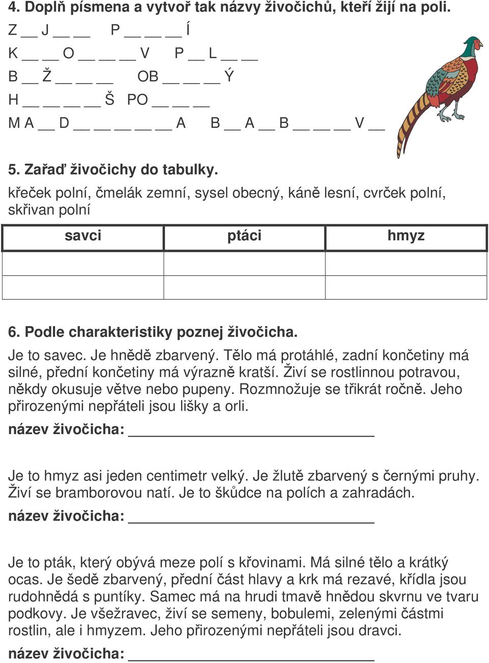 Tlo má protáhlé, zadní konetiny má silné, pední konetiny má výrazn kratší. Živí se rostlinnou potravou, nkdy okusuje vtve nebo pupeny. Rozmnožuje se tikrát ron.