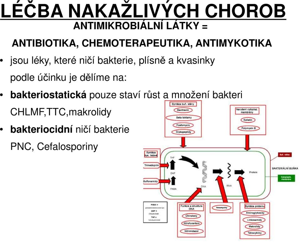 kvasinky podle účinku je dělíme na: bakteriostatická pouze staví růst a