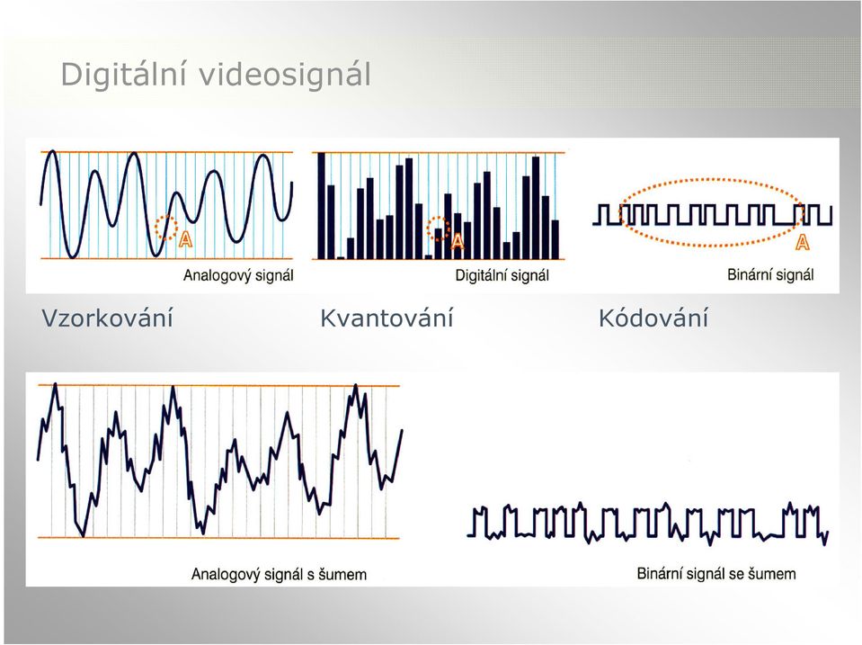 Vzorkování