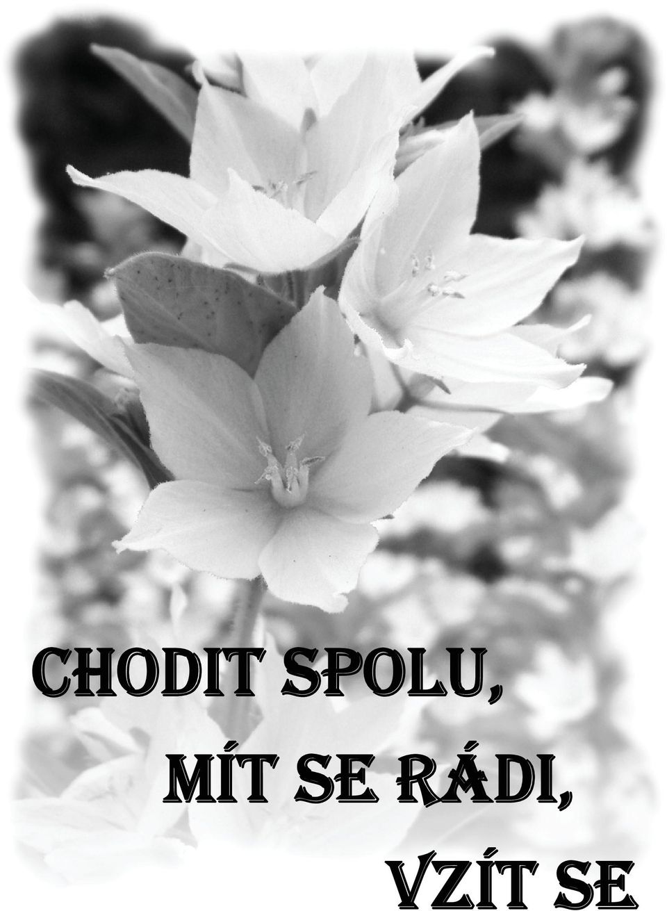 MÍT SE