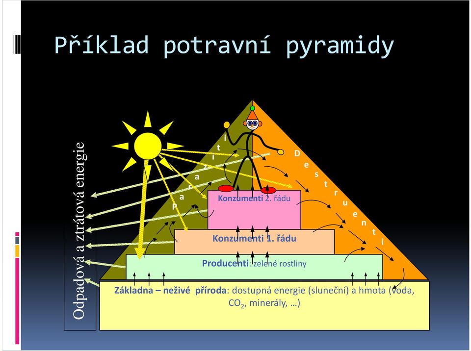 řádu D Producenti: zelené rostliny e s Základna neživé