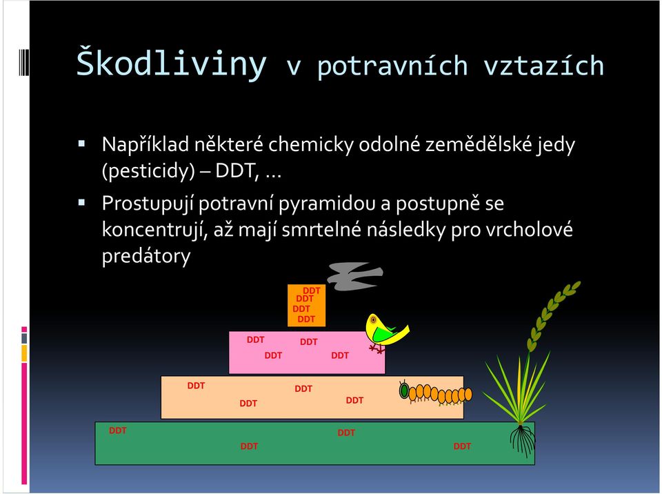 Prostupují potravní pyramidou a postupně se