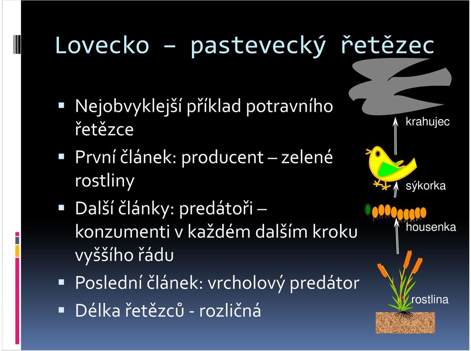 konzumenti v každém dalším kroku vyššího řádu Poslední článek: