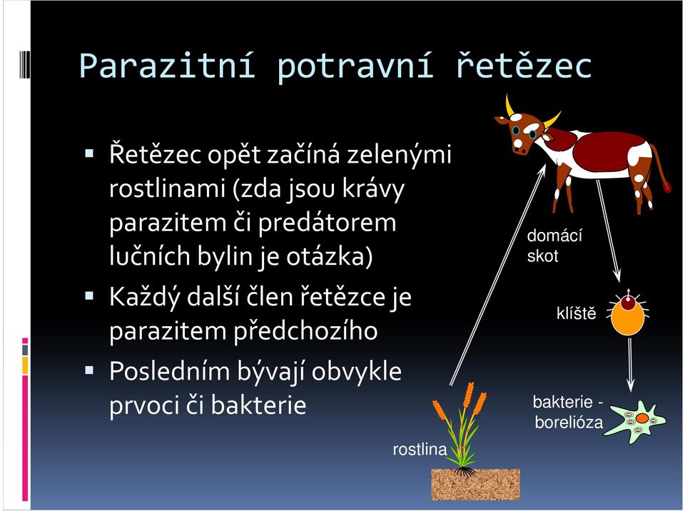 Každý další člen řetězce je parazitem předchozího Posledním bývají