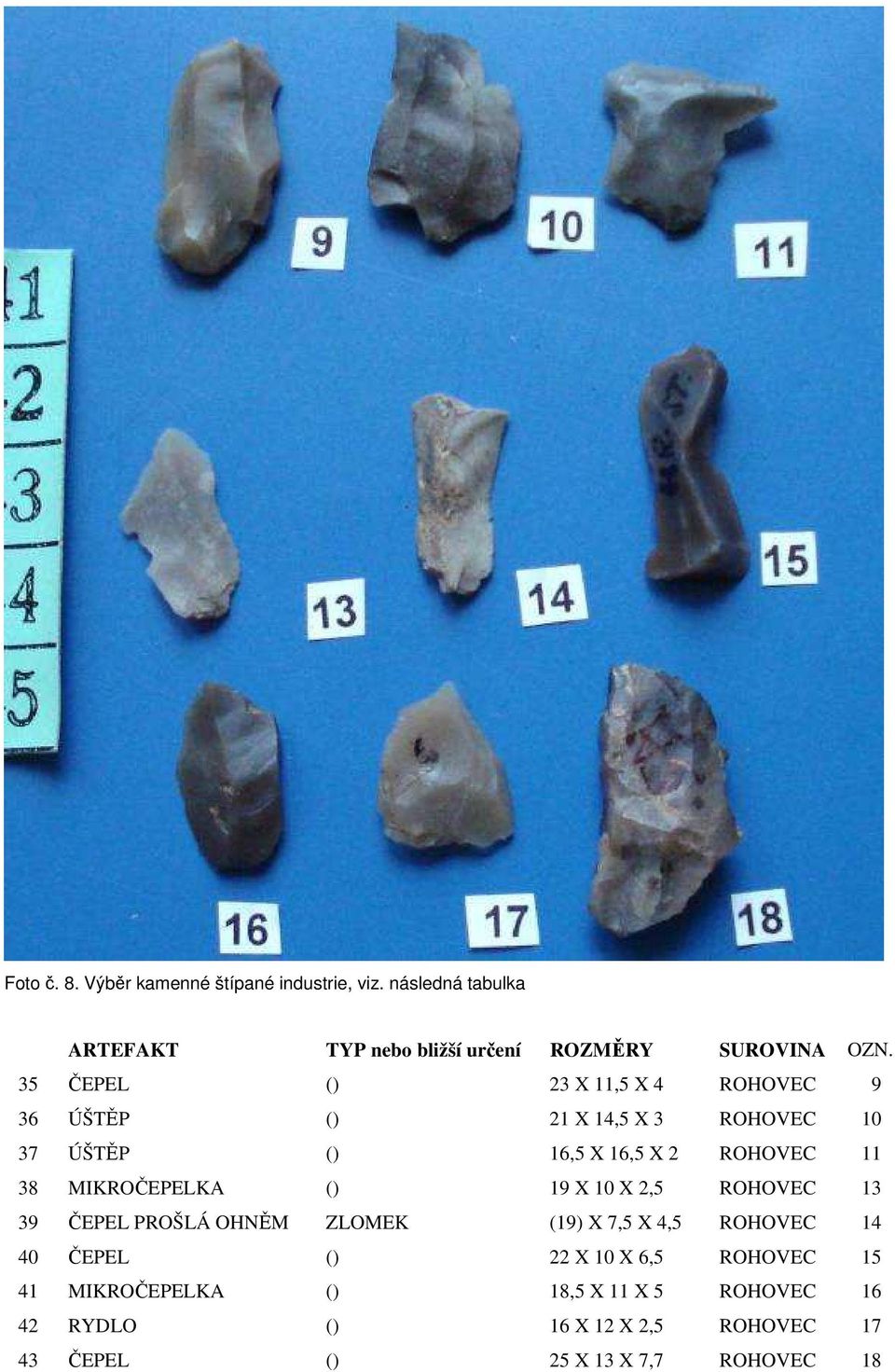 16,5 X 2 ROHOVEC 11 38 MIKROČEPELKA () 19 X 10 X 2,5 ROHOVEC 13 39 ČEPEL PROŠLÁ OHNĚM ZLOMEK (19) X 7,5 X