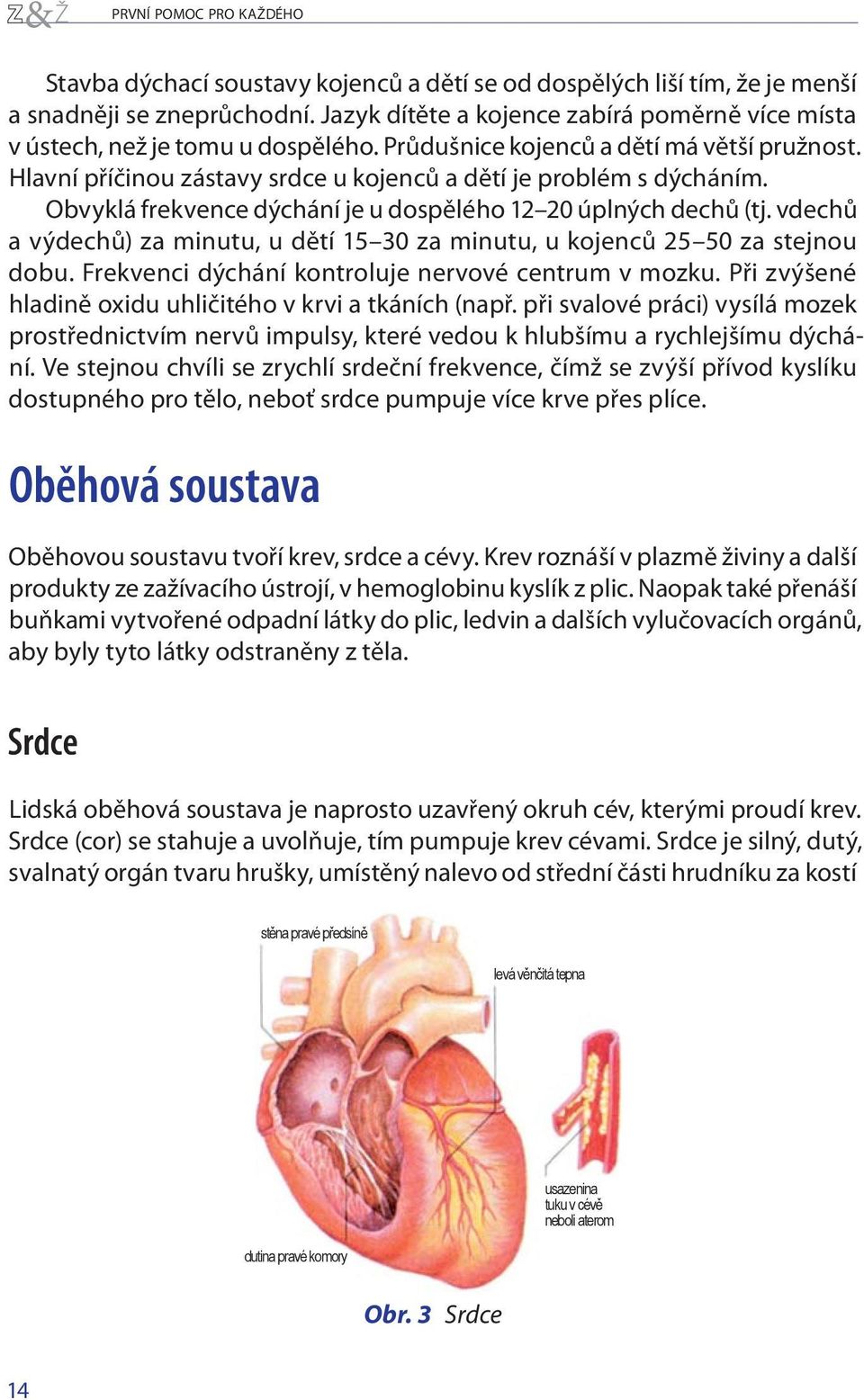 Obvyklá frekvence dýchání je u dospělého 12 20 úplných dechů (tj. vdechů a výdechů) za minutu, u dětí 15 30 za minutu, u kojenců 25 50 za stejnou dobu.