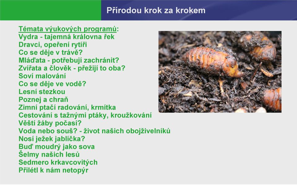 Lesní stezkou Poznej a chraň Zimní ptačí radování, krmítka Cestování s tažnými ptáky, kroužkování Věští žáby počasí?