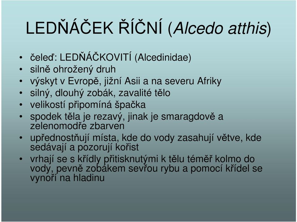 smaragdově a zelenomodře zbarven upřednostňují místa, kde do vody zasahují větve, kde sedávají a pozorují kořist